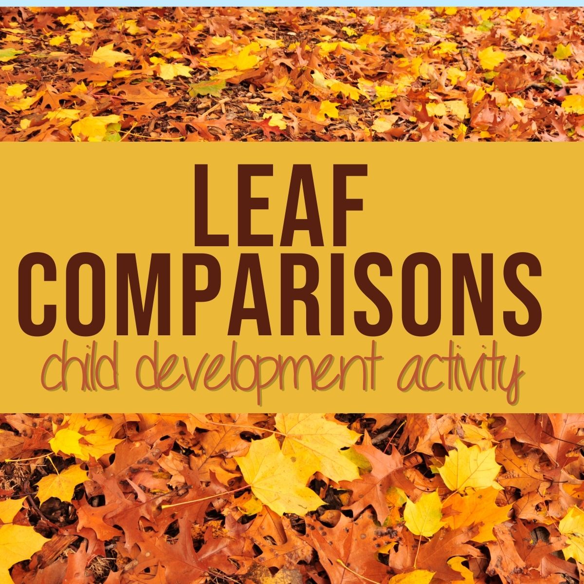 Leaf Comparisons Child Development Activity