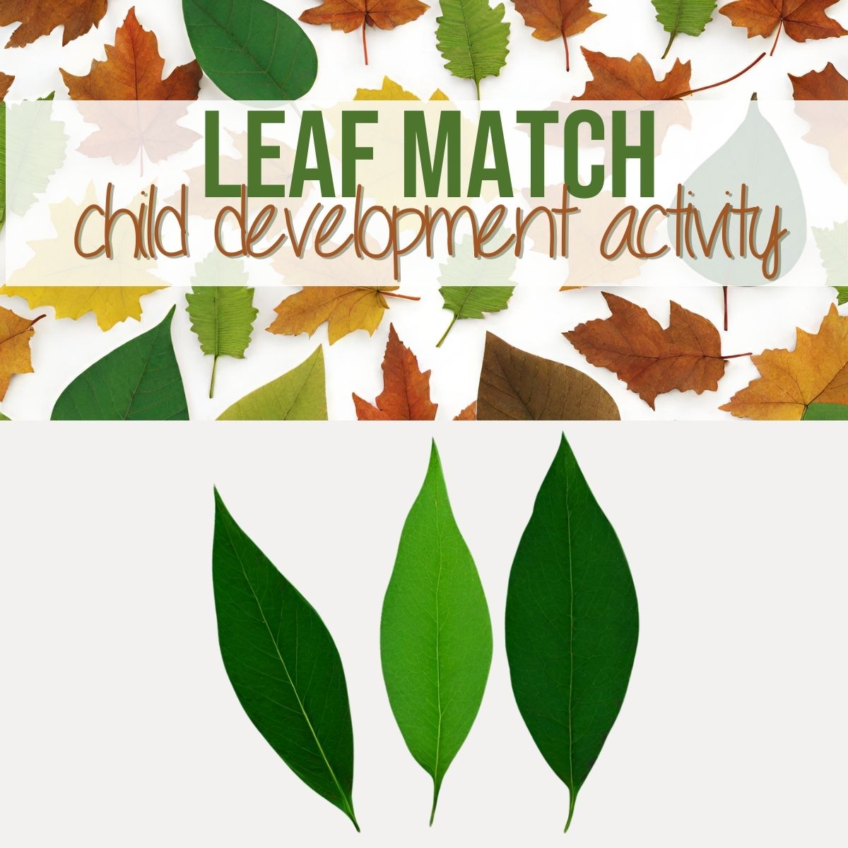 Leaf Match Child Development Activity