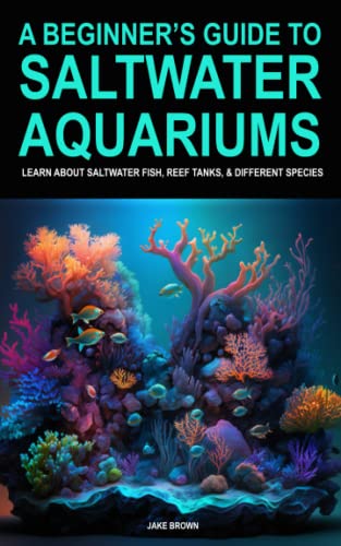 A Beginner&rsquo;s Guide To Saltwater Aquariums -