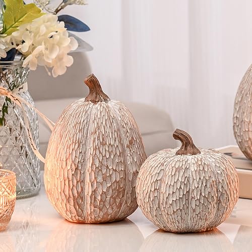 AOMOONOA Artificial Pumpkin Decor, Brown and White Decorative Pumpkins, Thanksgiving Resin Pumpkins Figurine Set of 2, Carved Pumpkin Statues for Rustic Fall Tabletop Home Decor, Harvest, Wedding