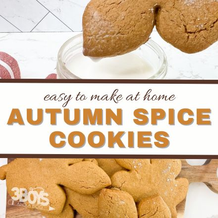 Autumn Spice Cookies Recipe
