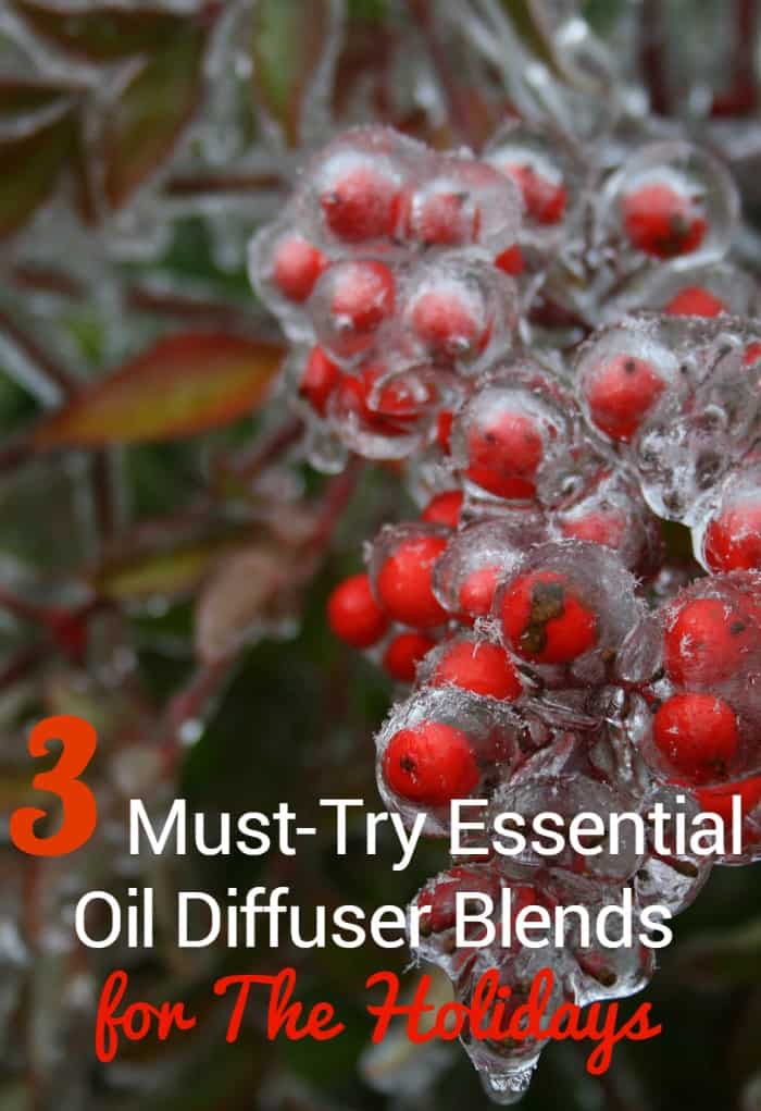 3 Must-Try Essential Oil Diffuser Blends for The Holidays