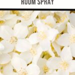 The label for Jasmine Room Spray showcases a background of white jasmine flowers with yellow centers, reflecting the essence of a homemade Jasmine room spray. Bold gold and black text elegantly sits atop a white strip, completing the design.