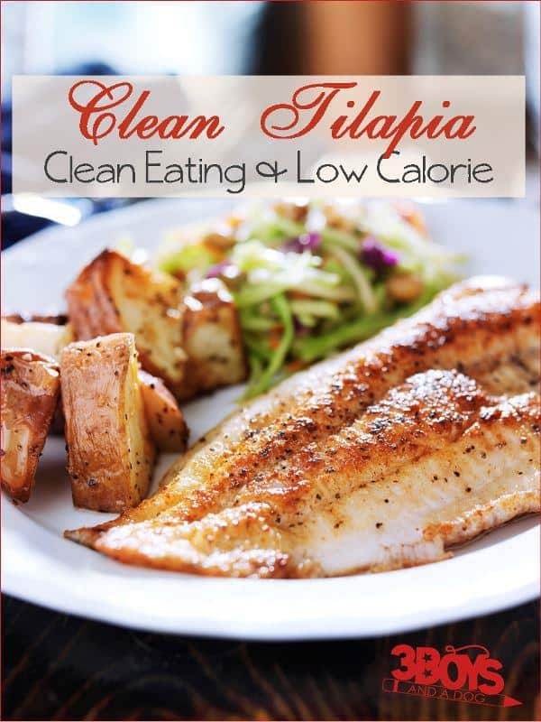 A plate showcases a seasoned, grilled tilapia fillet paired with roasted potato wedges and a fresh side salad. Text at the top reads Clean Eating Tilapia Recipe: Clean Eating & Low Calorie with the 3 Boys and a Dog logo at the bottom.