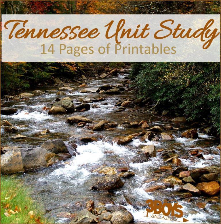 A scenic river flows over rocks, surrounded by autumn trees. Text overlay reads Tennessee Unit Study - 14 Pages of Printables, featuring a logo that says 3 Boys and a Dog. Explore alongside Washington State Fact File Worksheets for a comprehensive learning experience.