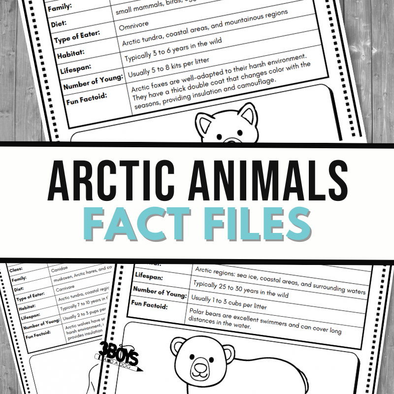 An educational worksheet titled Arctic Animals Fact Files invites you to find fascinating details about creatures like the walrus. Featuring sections for various animal characteristics, including family, diet, habitat, lifespan, number of young, and fun facts. Illustrated with charming animal drawings.