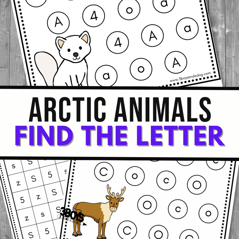 Discover our printable worksheet titled Arctic Animals Find the Letter, featuring engaging activities with a fox, reindeer, and a walrus. Kids can have fun identifying letters like A, C, and the special inclusion of W in circles for an enriching letter recognition exercise.