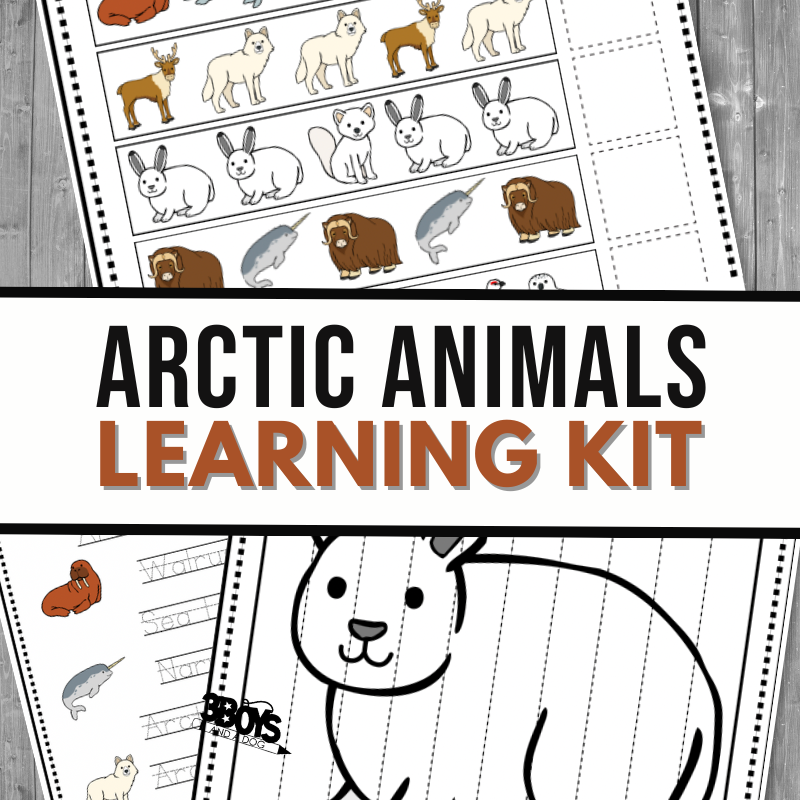 An educational kit titled Arctic Animals Learning Kit includes charming illustrations of arctic animals like polar bears, seals, and walruses. Features coloring sheets and practice writing lines, including an engaging activity focused on the letter W.