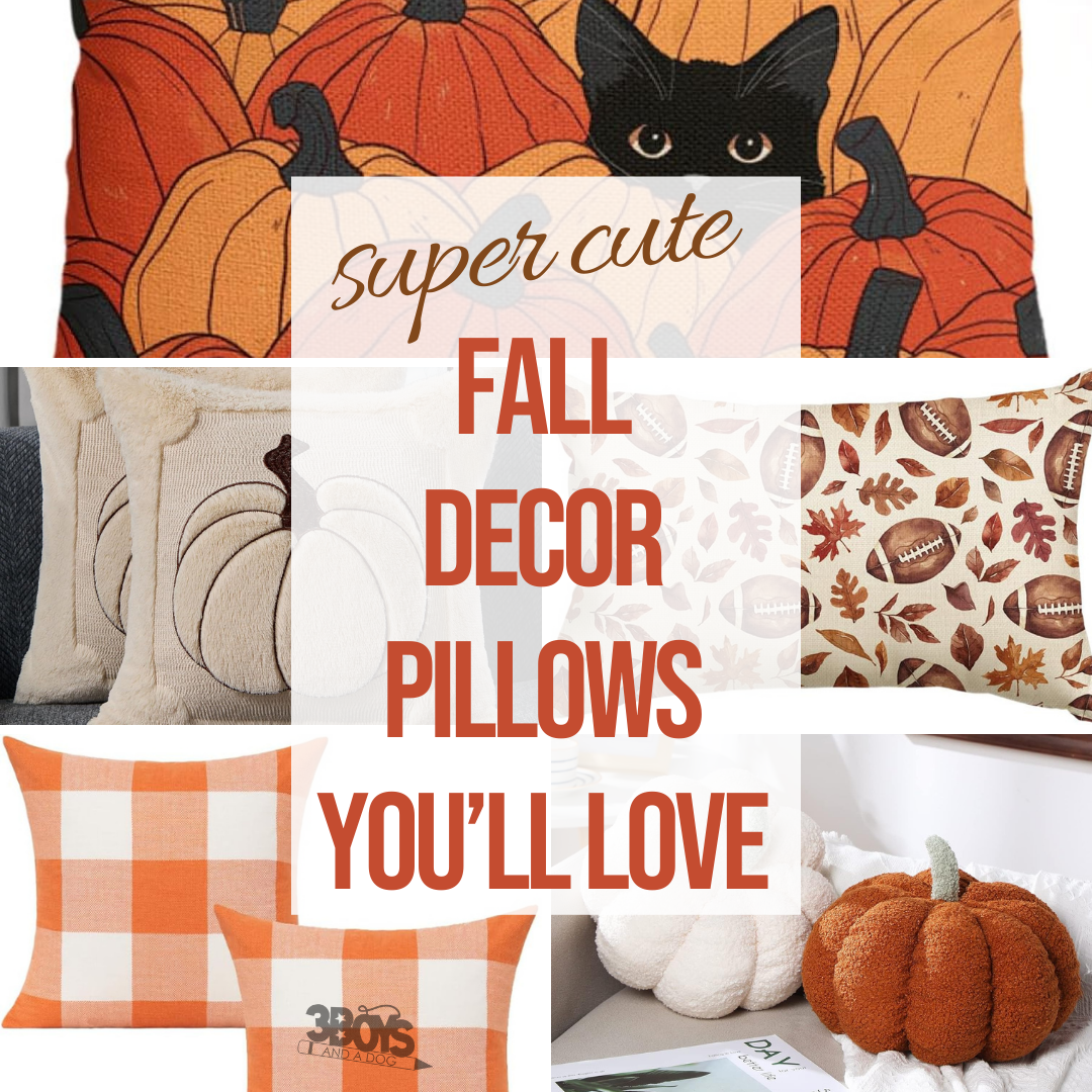 10+ Adorable Fall Decor Pillows