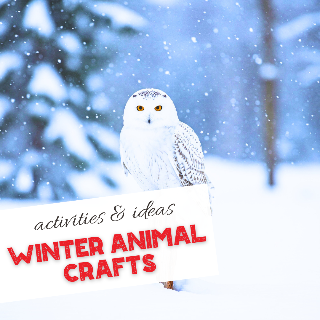 Where Do Animals Sleep in the Winter Crafts and Activities for Kids