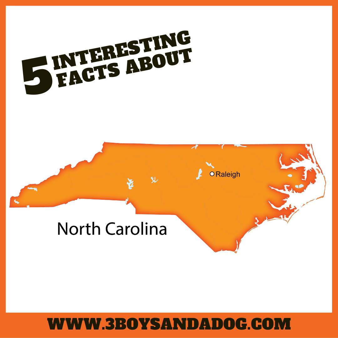Map of North Carolina in orange with Raleigh highlighted. Above, the text reads 5 Interesting Facts About. Discover a twist by exploring Interesting Facts About New York next. Website www.3boysandadog.com graces the bottom, ready to uncover more tales.